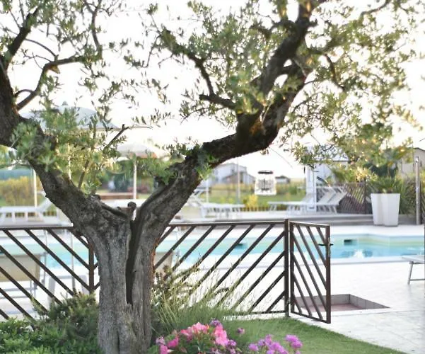 Vista Parco Bed & Breakfast