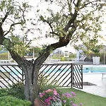 Vista Parco فندق مبيت وإفطار