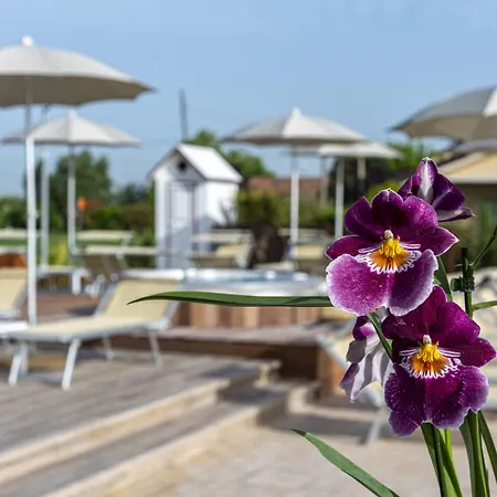 Vista Parco 4*